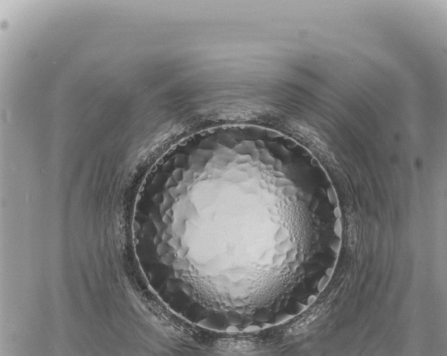 X0000060760354200511171154