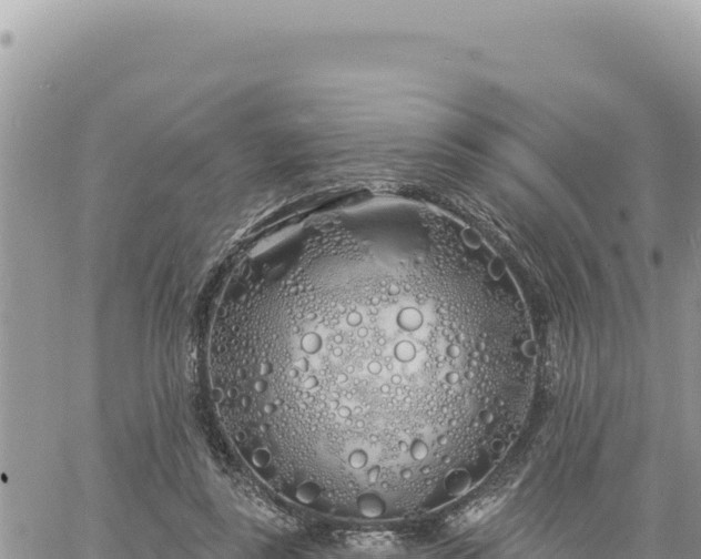 X0000060760355200511171154