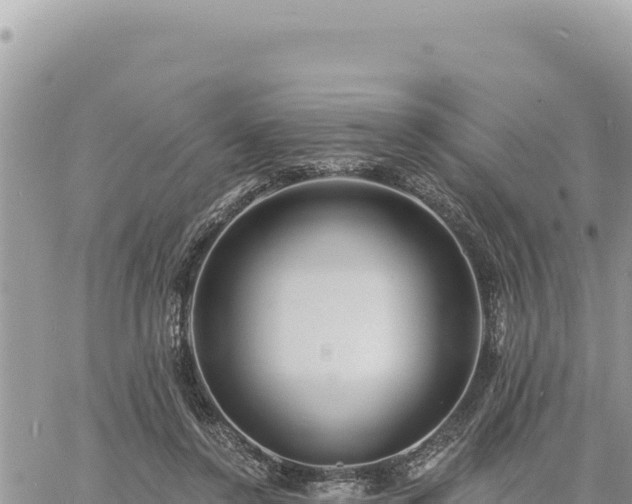 X0000060760356200511171154