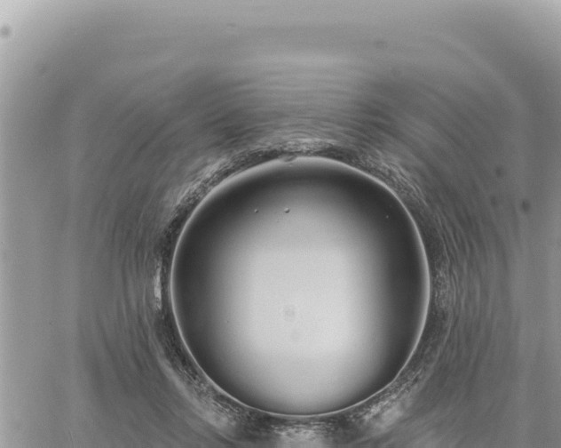 X0000060760358200511171154