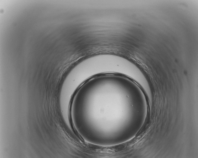 X0000060760359200511171154