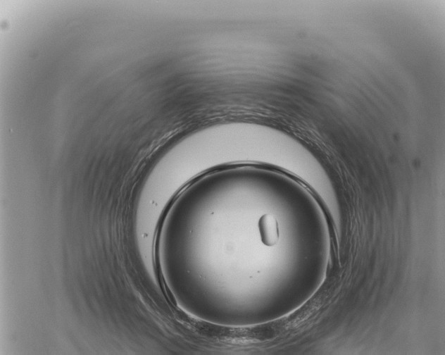 X0000060760360200511171154