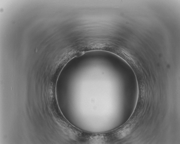 X0000060760362200511171154