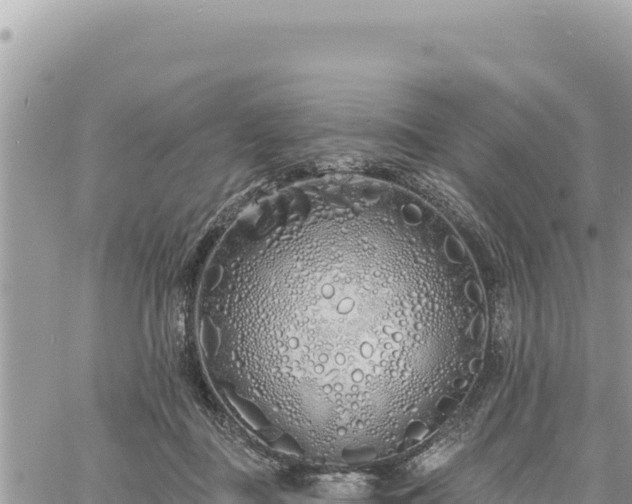 X0000060760363200511171154