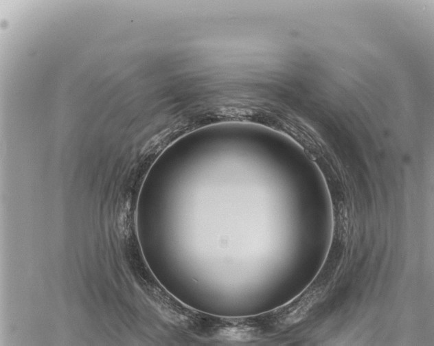 X0000060760364200511171154