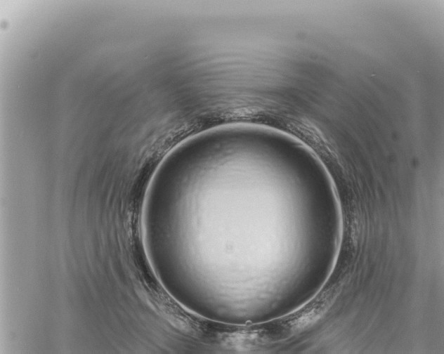 X0000060760366200511171154