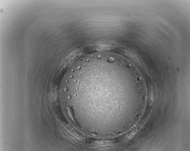 X0000060760367200511171154