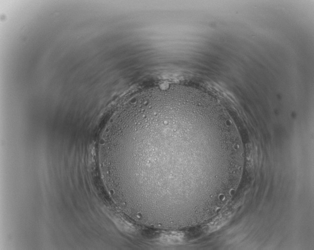 X0000060760369200511171154