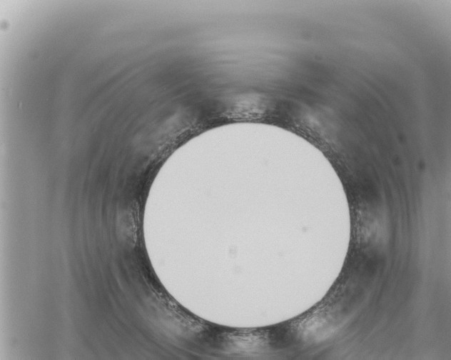 X0000060760370200511171154