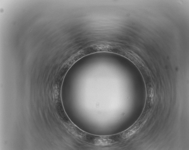 X0000060760372200511171154