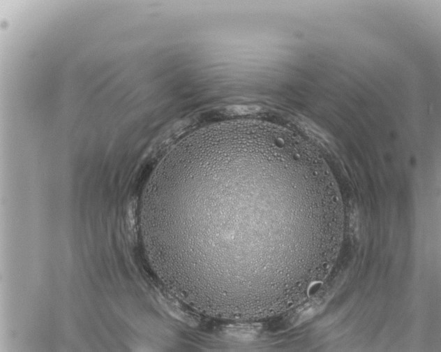 X0000060760373200511171154