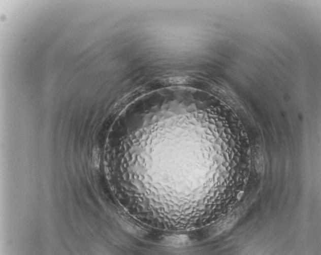 X0000060760374200511171154