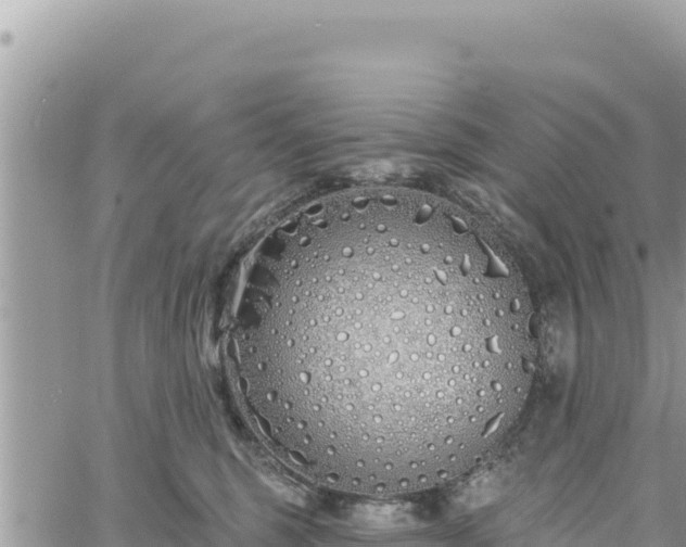 X0000060760375200511171154