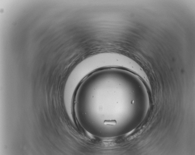 X0000060760376200511171154