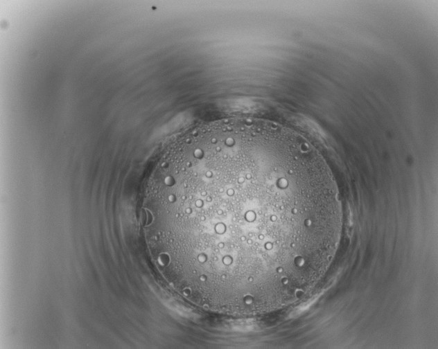 X0000060760377200511171154