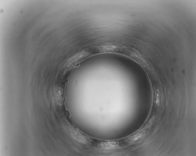 X0000060760378200511171154