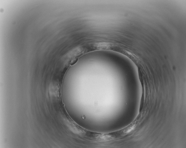 X0000060760379200511171154