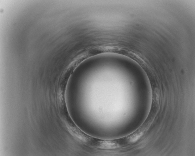 X0000060760380200511171154