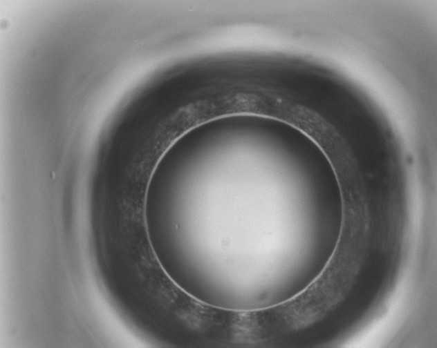 X0000060760382200511171154