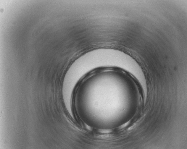 X0000060760383200511171154