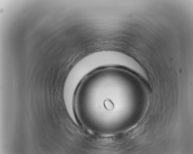 X0000060760384200511171154