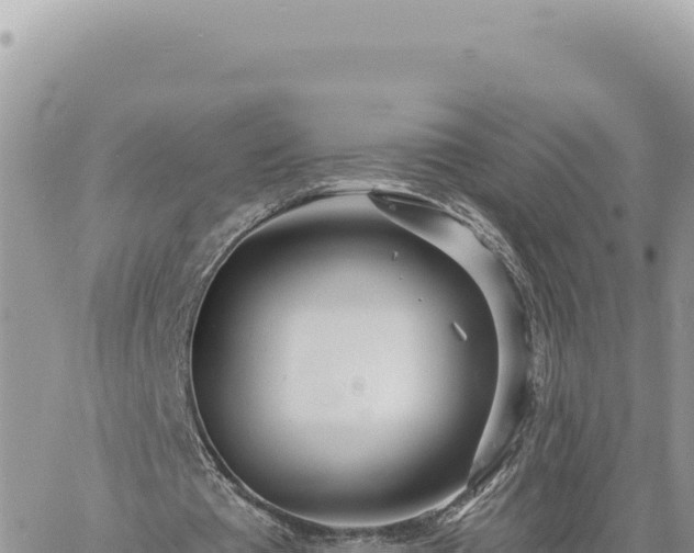 X0000060760385200511171153