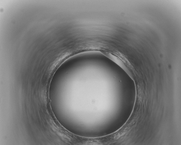 X0000060760386200511171153