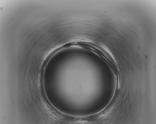 X0000060760387200511171153