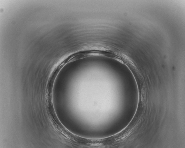 X0000060760388200511171153