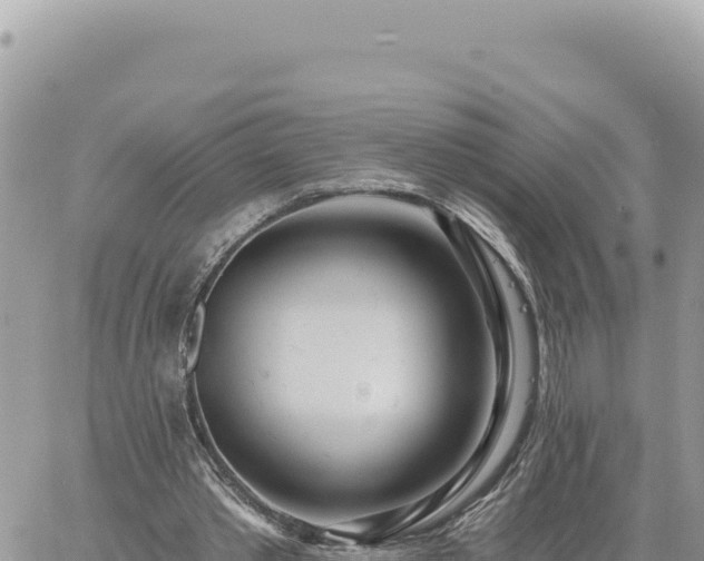 X0000060760389200511171153