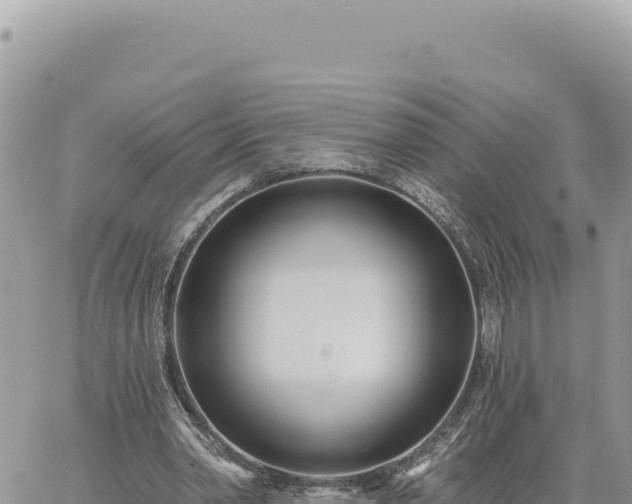 X0000060760390200511171153