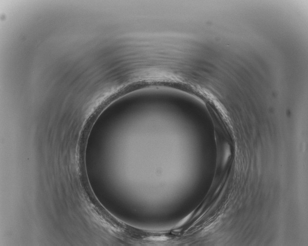 X0000060760391200511171153