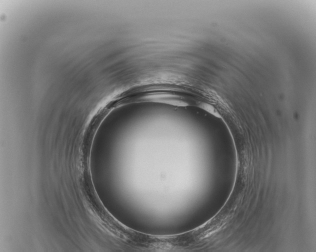 X0000060760392200511171153