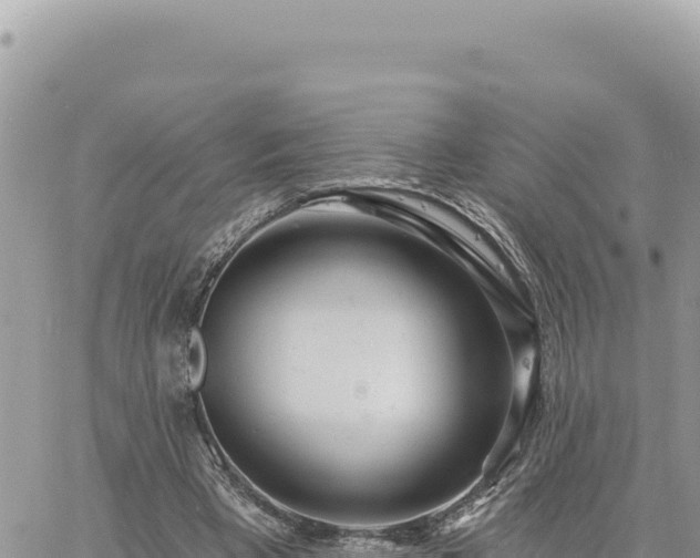 X0000060760393200511171153