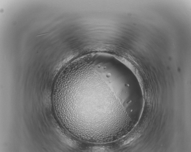 X0000060760394200511171153