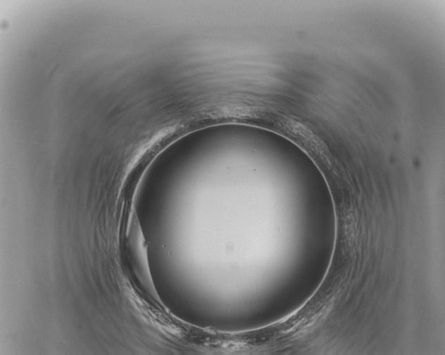 X0000060760395200511171153