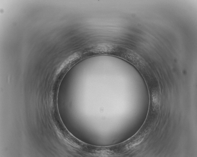 X0000060760396200511171153