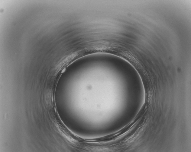 X0000060760397200511171153