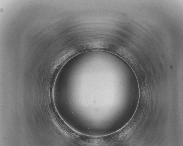 X0000060760398200511171153