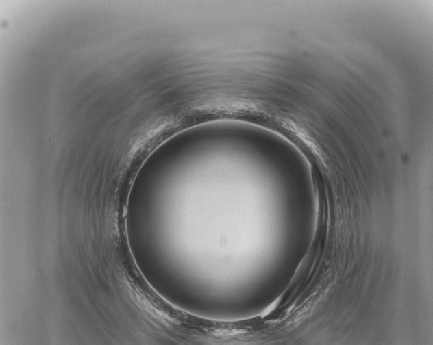 X0000060760399200511171153