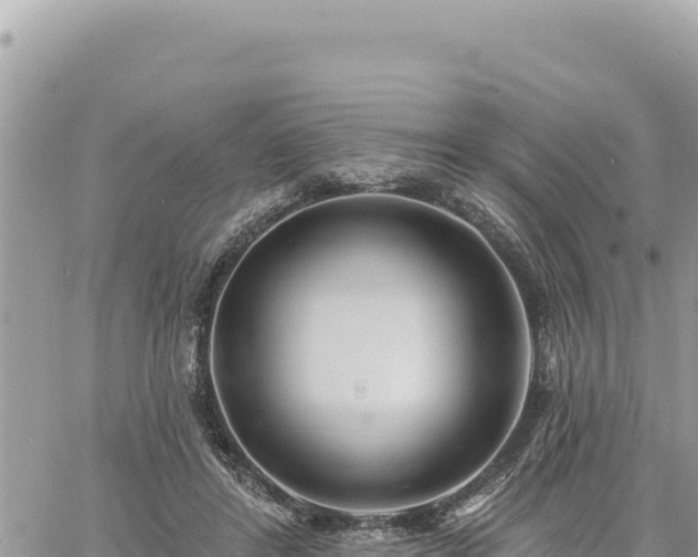 X0000060760404200511171153