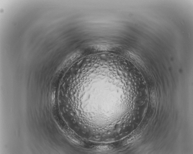 X0000060760406200511171153