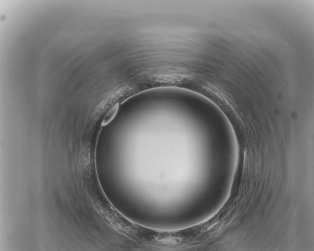 X0000060760407200511171153