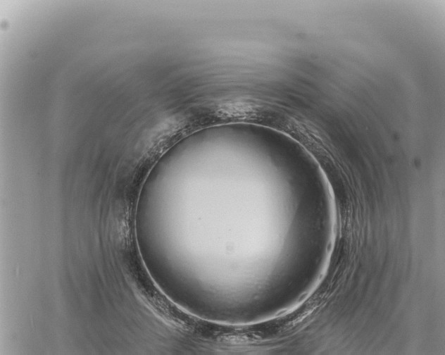 X0000060760408200511171153