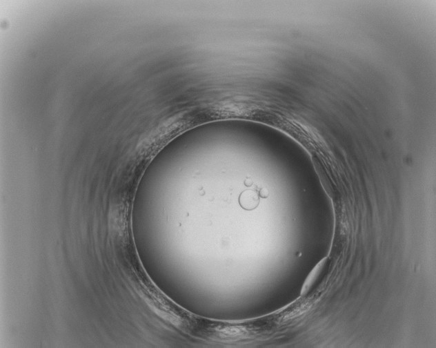 X0000060760409200511171153