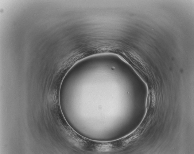 X0000060760410200511171153