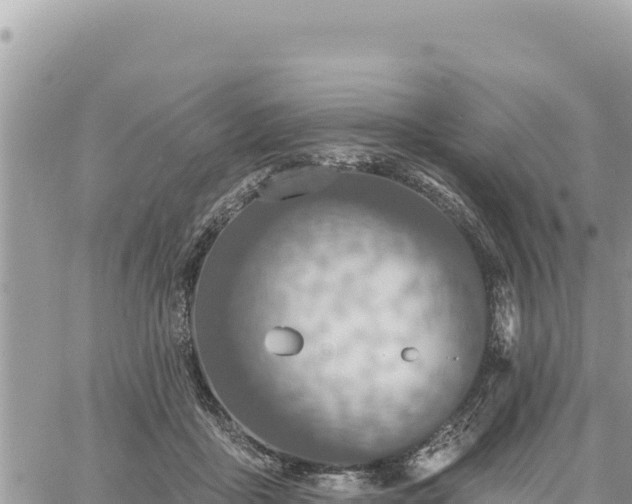 X0000060760411200511171153