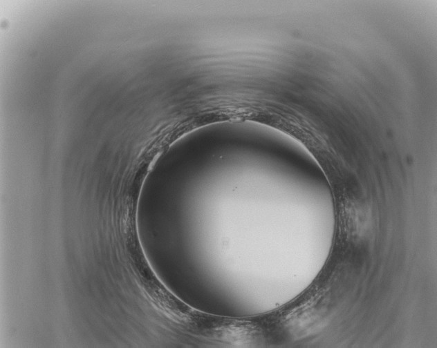 X0000060760412200511171153