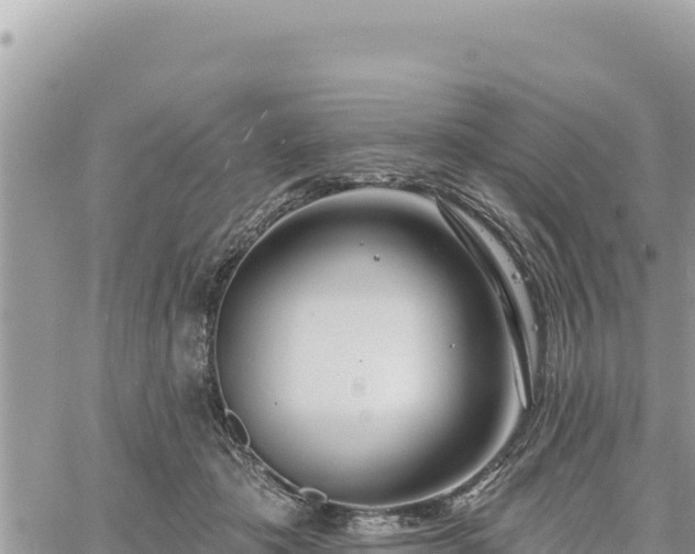 X0000060760413200511171153