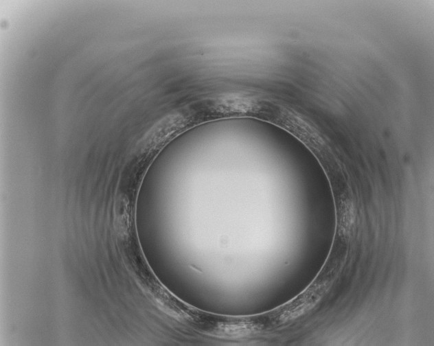 X0000060760414200511171153